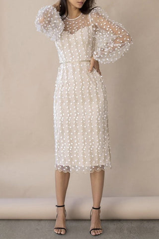 Sonicelife-Celebrities Elegant Solid Embroidered See-through O Neck Bandage Dress Dresses