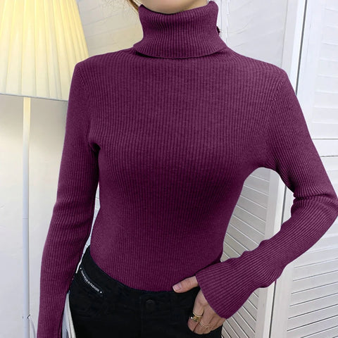 Sonicelife Women Turtleneck Cashmere Warm Sweater Long Sleeve Knitted Soft Pullovers Jumpers Basic Sweaters For Women 2024 Autumn Winter