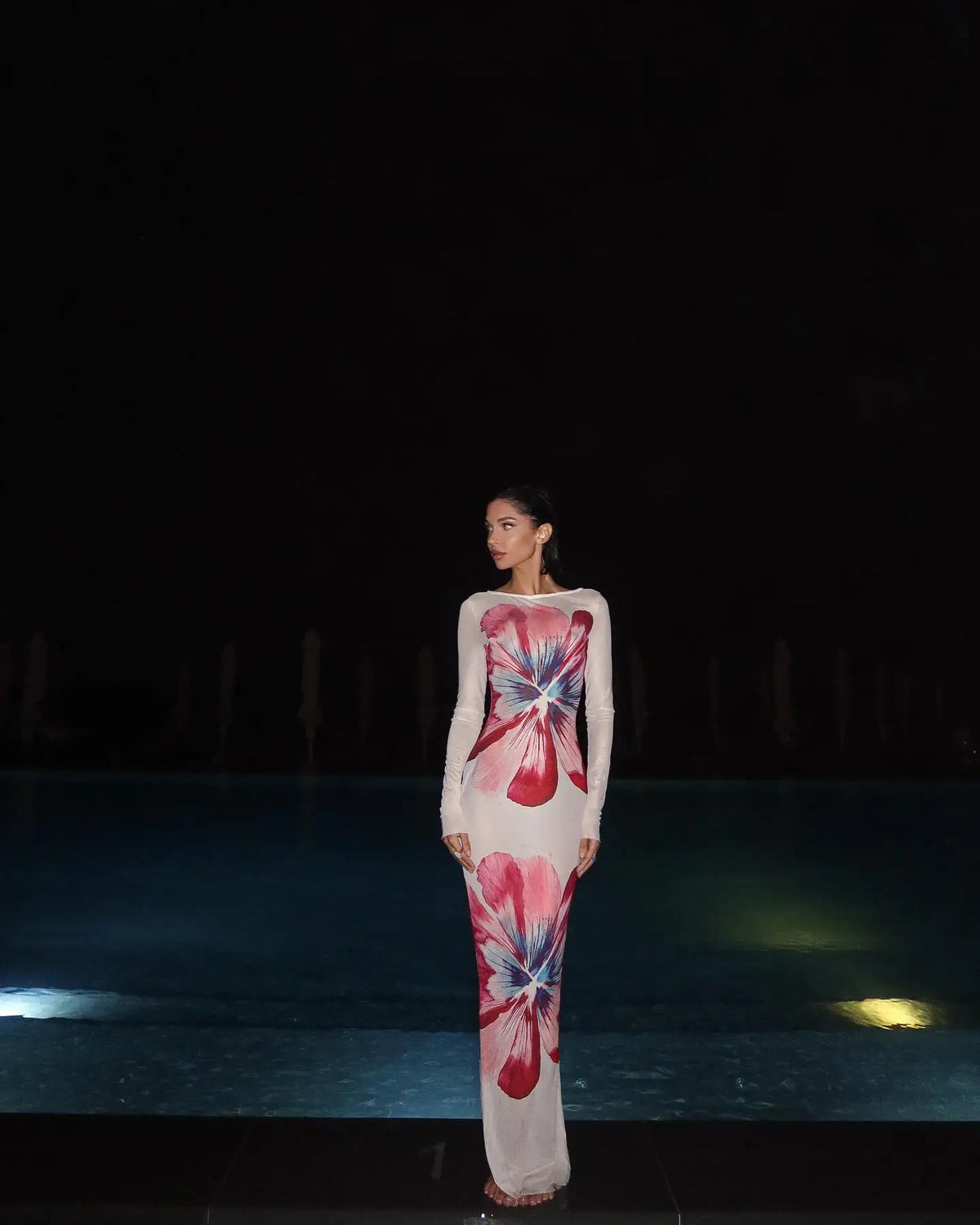Sonicelife Elegant Printed Slim Fit Long Dress Fashion Round Neck Full Sleeve See Through Robes New Female Summer Party Club Vestidos 2025