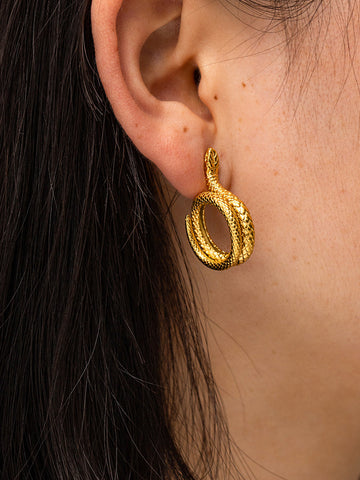 Sonicelife-Snake Shape Earrings