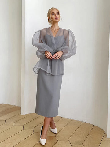 Sonicelife- Spring Summer Women Elegant Solid Grey Mesh Shirt Ladies Long Sleeve Sheer Chiffon Blouse For Woman Female