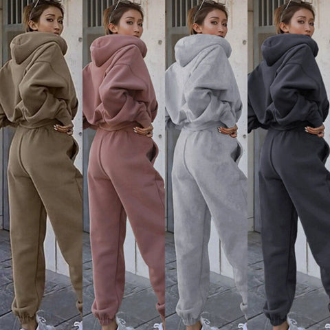 Sonicelife Women Sports Two Piece Sets Hoodie Trousers Solid Color Hooded Pants Outfits Sweatshirt Suit 2024 Autumn Winter Tracksuit