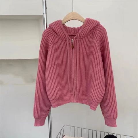 Black Friday Sonicelife Autumn Casual Knitted Cardigan Women Korean Chic Solid Long Sleeve Zipper Sweater Fashion All Match Preppy O Neck Outwear