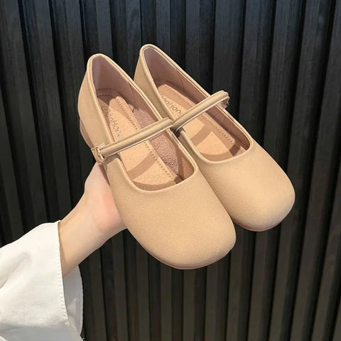 Sonicelife Gentle Mary Jane Women's 2025  New Spring Round Toe Low Heel Evening French Style With Skirt Single Small Leather Shoes