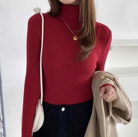 Sonicelife Women Turtleneck Cashmere Warm Sweater Long Sleeve Knitted Soft Pullovers Jumpers Basic Sweaters For Women 2024 Autumn Winter