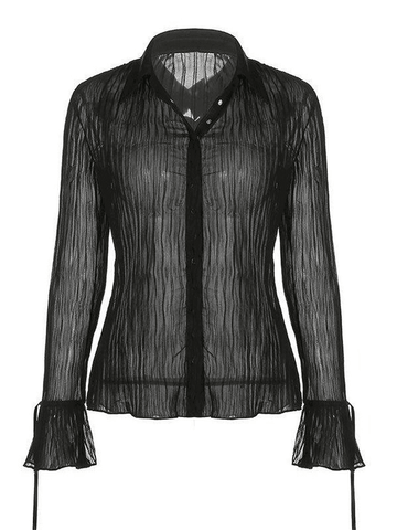 Sonicelife Semi Sheer Long Sleeve Pleated Blouse