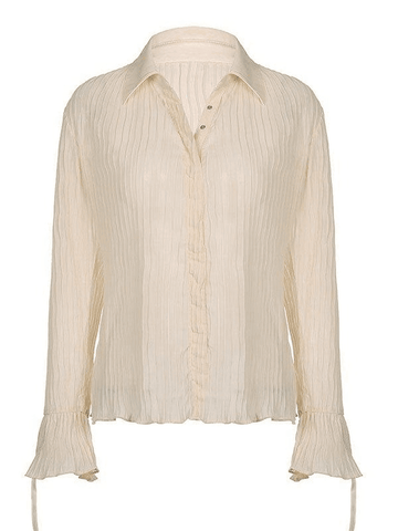 Sonicelife Semi Sheer Long Sleeve Pleated Blouse