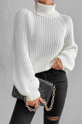 Sonicelife Raglan Sleeve Turtleneck Slit Mid-Length Sweater