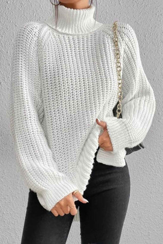 Sonicelife Raglan Sleeve Turtleneck Slit Mid-Length Sweater