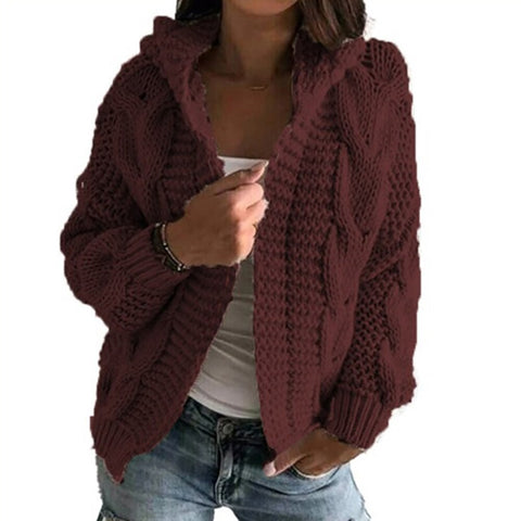 Sonicelife Elegant Cardigans Sweater for Women Hoodies Knitted Twist Loose Coat Autumn Fashion Warm Long Sleeve Causal Solid Ladies Tops