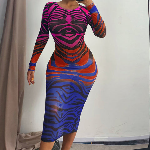 Sonicelife  Women Autumn Long Sleeve Printed Mesh See Through Bodycon Dress 2024 Fall Female Clothing Streetwear  Items