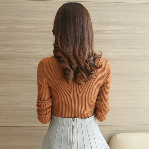 Turtleneck Sweater Women Fashion 2023 Autumn Winter Black Tops Women Knitted Pullovers Long Sleeve Jumper Pull Femme Clothing