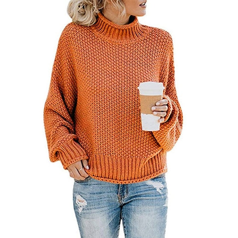 Sonicelife Women's Sweaters Long Sleeve Turtleneck Jumper Casual Knitted Sweater Oversize Female 2023 Autumn Winter Warm Pulovers for Women